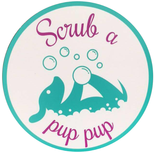 Scrub a pup pup dog groomer conshohocken